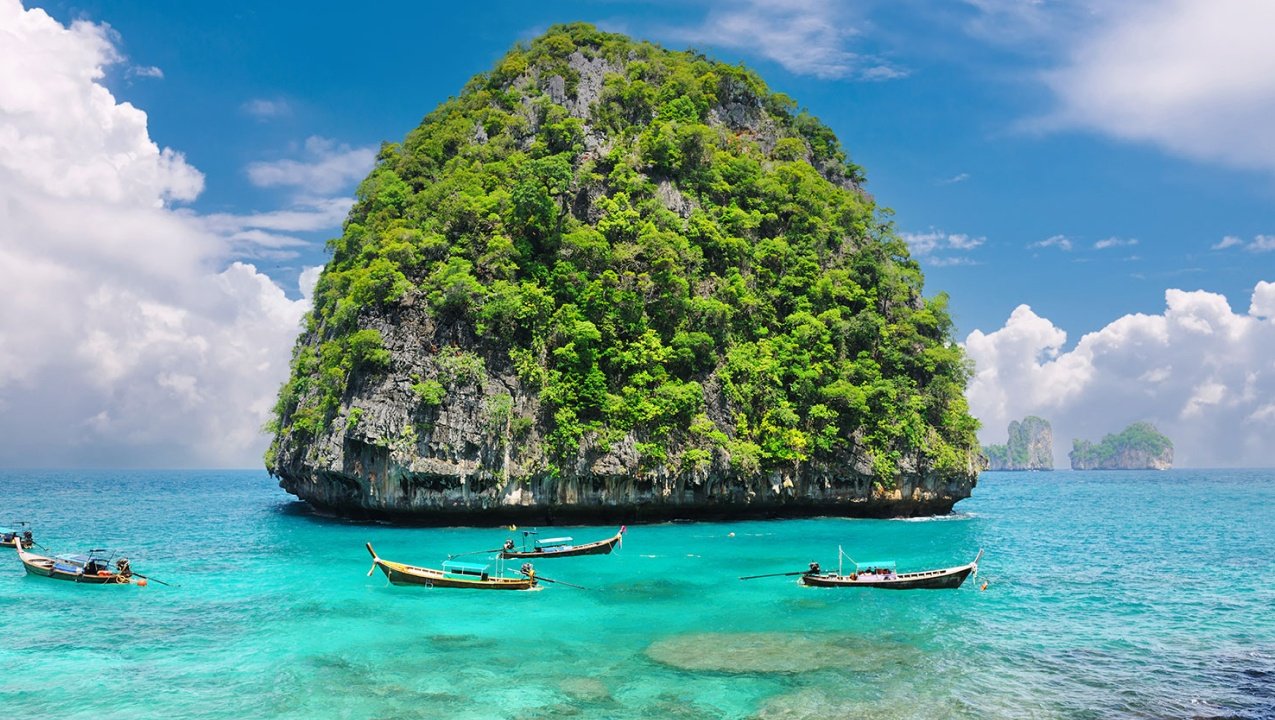 Our Business Thrives To Contribute Global